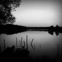 /album/andreea-epecu-photography/photolia-b01-jpg/