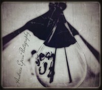 /album/andreea-epecu-photography/a260329-456930434394202-904414161-n-jpg/