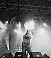 /album/andreea-epecu-photography/picsart-1368488275333-jpg/